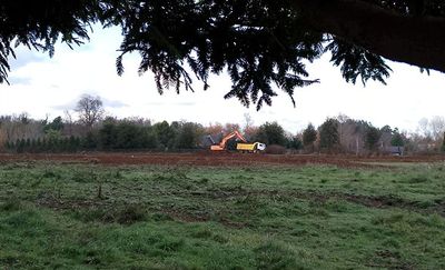 Denuncian nuevos movimientos de tierra en terrenos aledaños a humedal de Las Quemas en Osorno