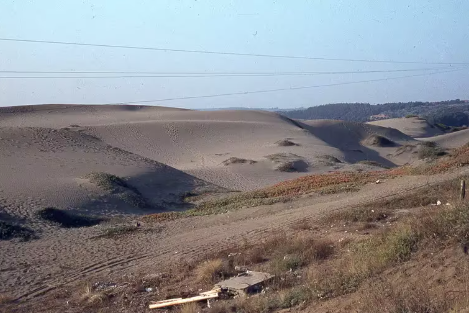 Históricas fotos muestran cómo eran las dunas de Concón antes del boom inmobiliario y los socavones