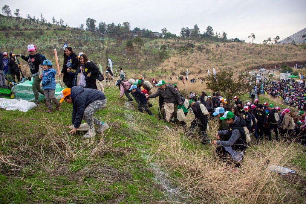 Masiva reforestación de Parque Metropolitano Cerros de Renca: 2 mil personas plantan 2 mil árboles