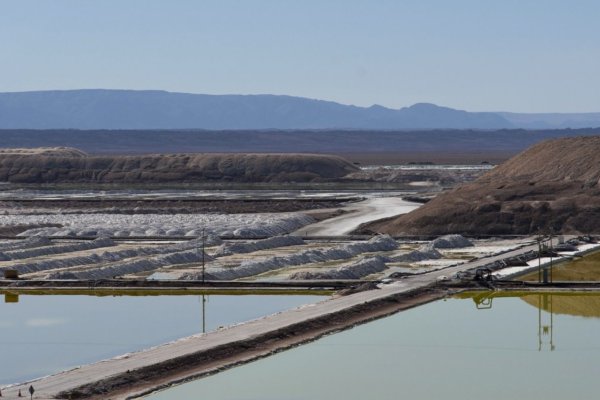 Consejo advierte que no dieron “aprobación a ningún tipo de proyecto” en el Salar de Atacama