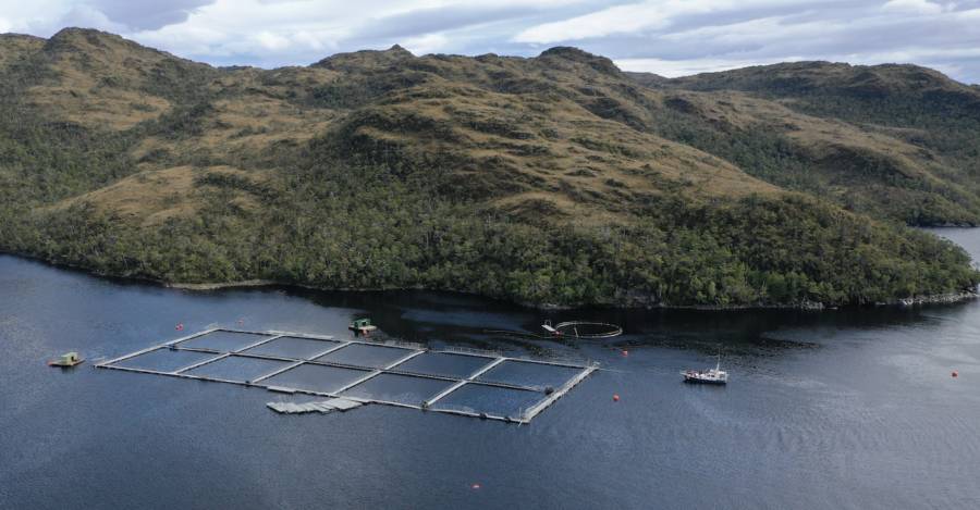 SMA inicia proceso sancionatorio contra AquaChile por sobreproducir 1.306 toneladas dentro de la Reserva Nacional Kawésqar