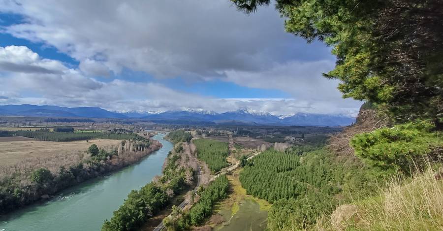 Presentan recurso contra Conaf por autorizar que Central Rucalhue intervenga especies protegidas
