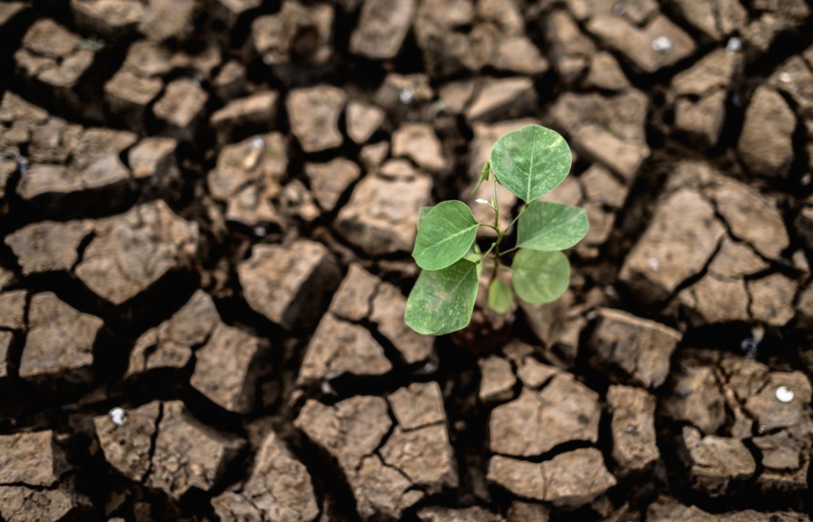 Parlamentarios piden fast track legislativo ambiental e inician tramitación de proyecto por Acuerdo de Escazú