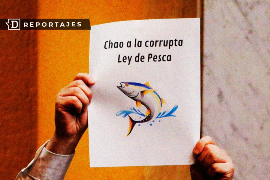 El “plan B” que permite anular la Ley Longueira y tener una nueva norma de pesca en 2 años