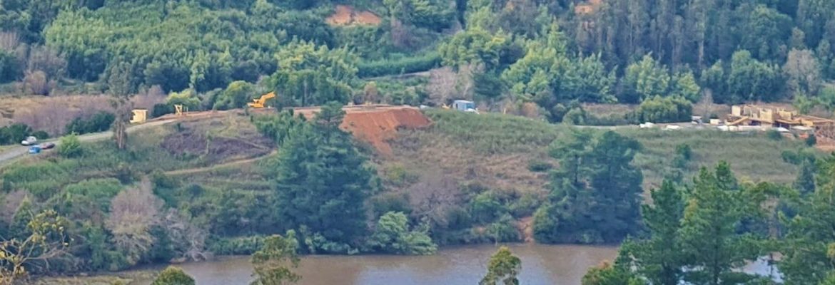 Concepción: Denuncian intervención de cauce, rellenos y remoción de tierra en lago Nonguén (Laguna Pineda)