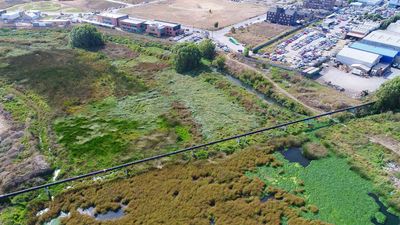 ¡Alerta Ambiental! Agrupación Denuncia Intervención del Humedal Paicaví en Concepción