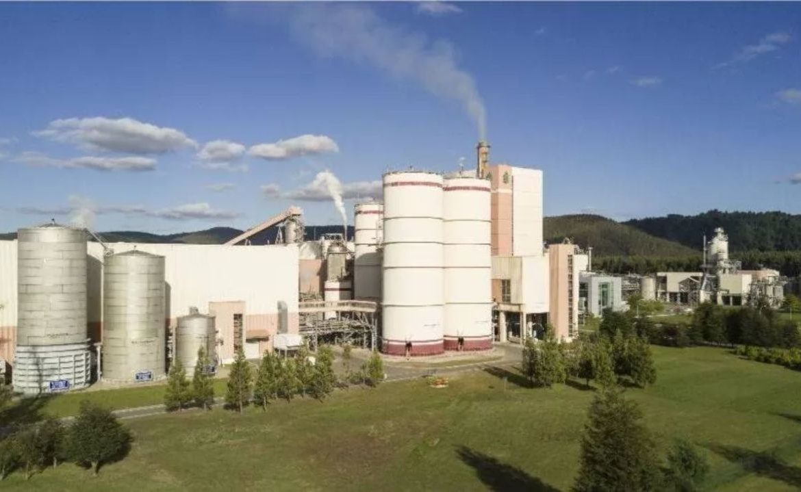 Tribunal rechaza demanda por daño ambiental contra Celulosa Arauco en Los Ríos