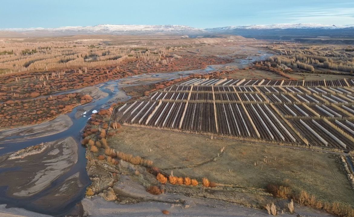 Solicitan término anticipado de proyecto que “regulariza” drenaje ilegal de humedal de Aysén