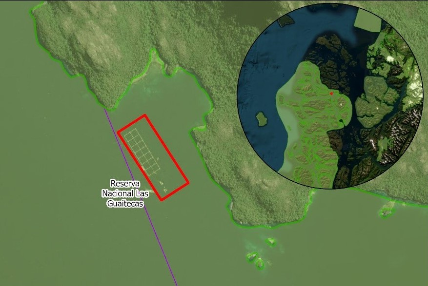 Salmonera Multi X arriesga perder permiso ambiental por producir 10 mil toneladas en exceso dentro de un área protegida