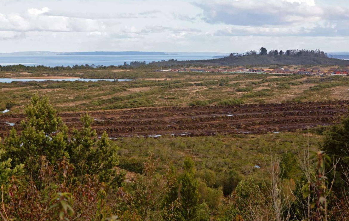 Solicitan avanzar en declaratoria de humedales de Puerto Montt