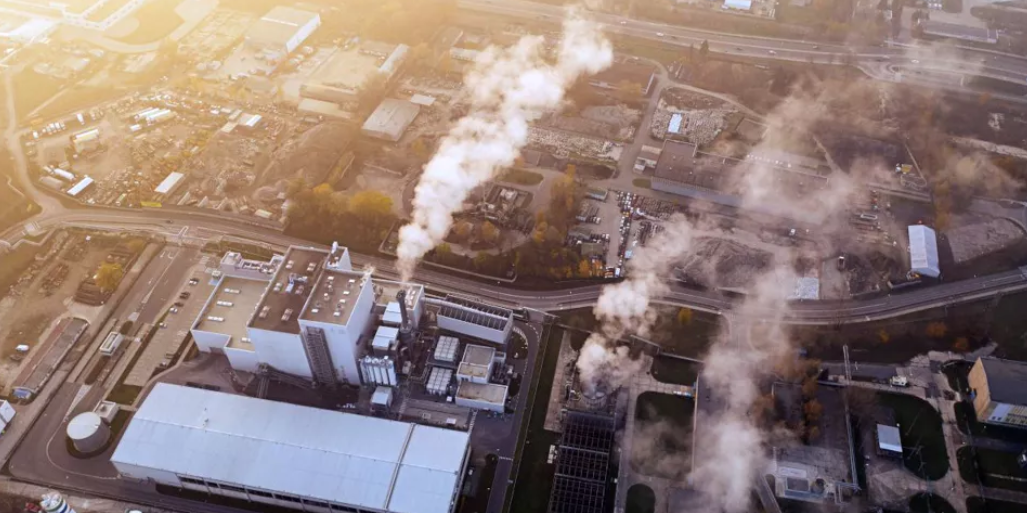 Decenas de ONG piden a los gobiernos y a las empresas que dejen de invertir en los mercados de carbono