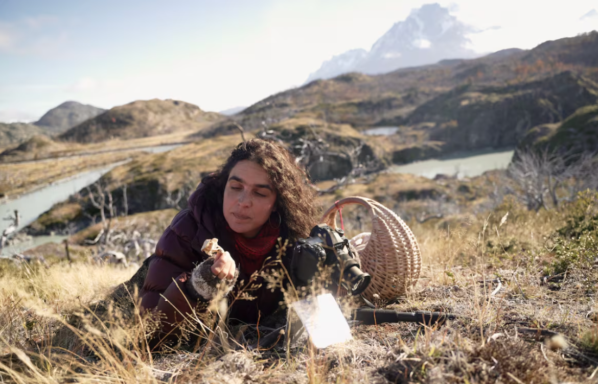 Giuliana Furci, investigadora: “En la conversación sobre los hongos, Chile es un país pionero”