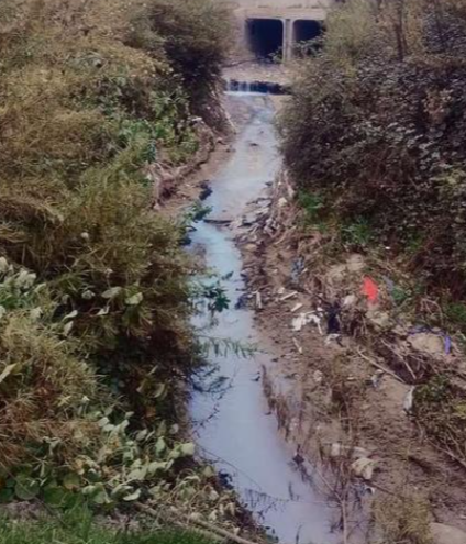 Denuncian vertimiento de pintura en aguas del estero de Quilpué