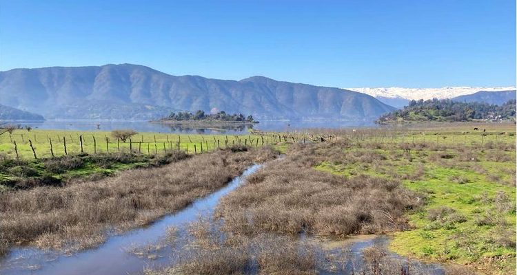 Sernapesca presenta denuncia por introducción no autorizada de peces exóticos en Laguna de Aculeo
