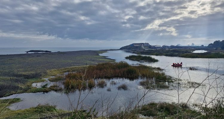Inundaciones y cambio climático: impactos en la biodiversidad y cambio de paradigma