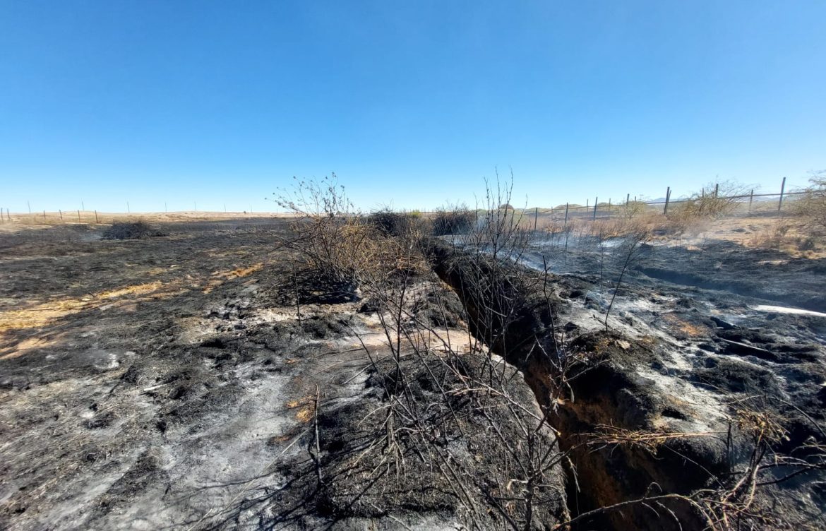 A una semana del incendio en La Cascada, no encuentran indicios de las ranitas del Loa