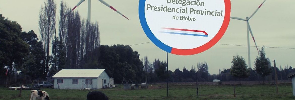 Seis meses esperando: Delegación Provincial del Biobío determina que “no existe plazo” para revisión de informe técnico de impactos de proyectos eólicos