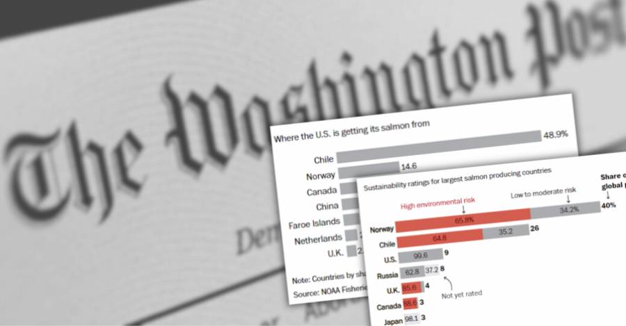 The Washington Post recomienda evitar el consumo de salmón chileno