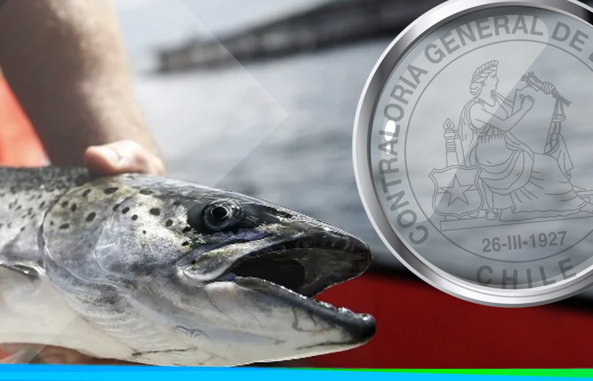 Salmoneras: CGR detecta falta de fiscalizaciones que impiden término de concesiones