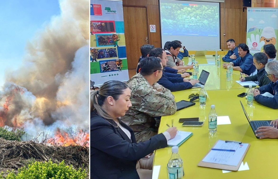 Mesa regional de incendios: reportan aumento de los incendios forestales en la Región de Arica