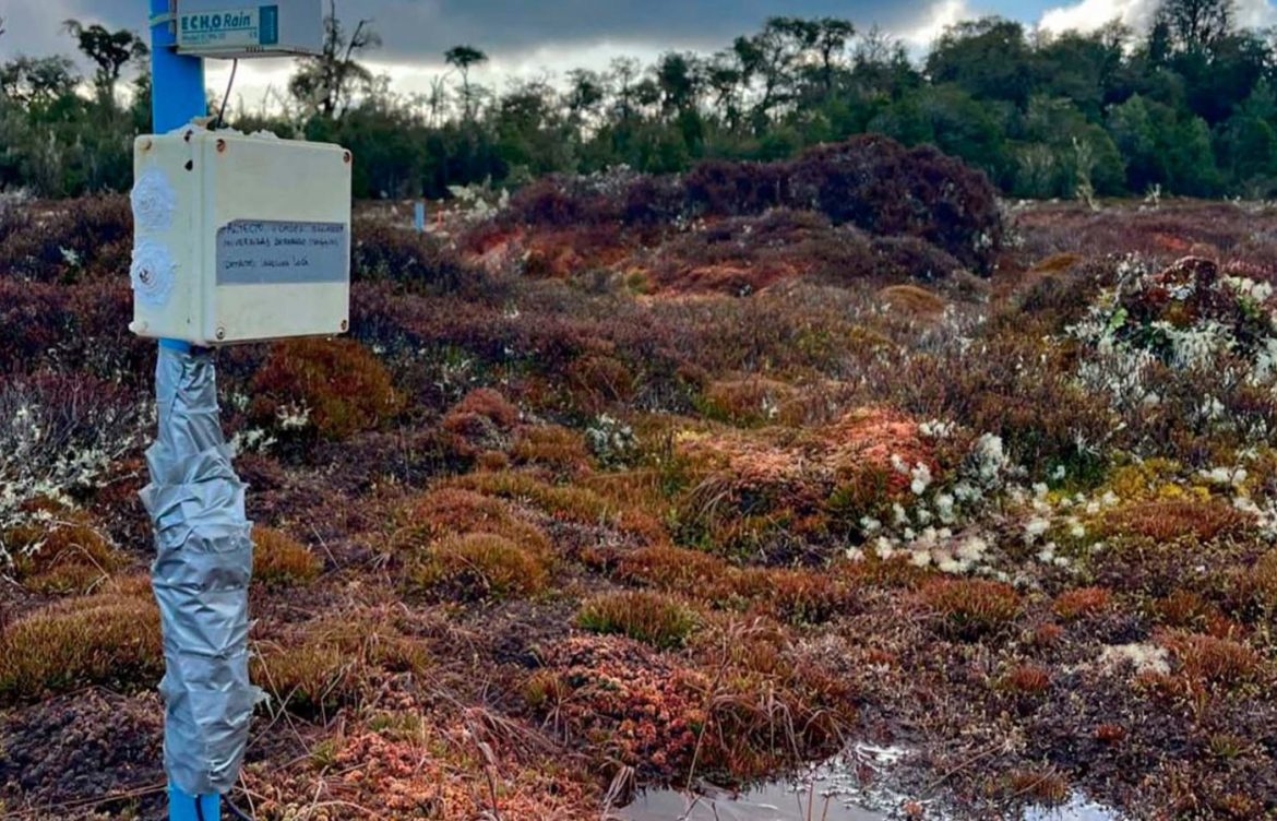 Así se busca proteger las turberas para enfrentar amenaza de la crisis climática