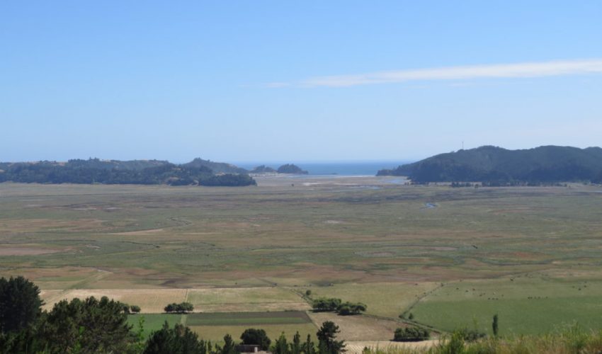 Humedal Tubul Raqui: Nuevo Santuario de la Naturaleza del país