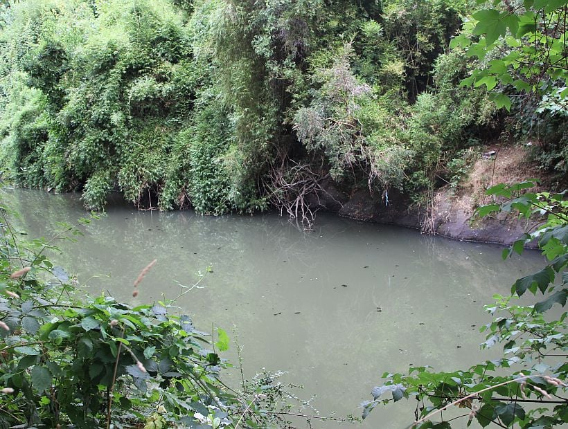 Desborde de alcantarilla ocasionó descarga contaminante sobre ríos de Osorno