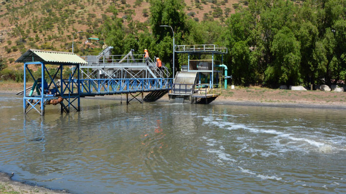 Tribunal Ambiental condena a municipalidad de Nogales por mal funcionamiento de planta de aguas servidas