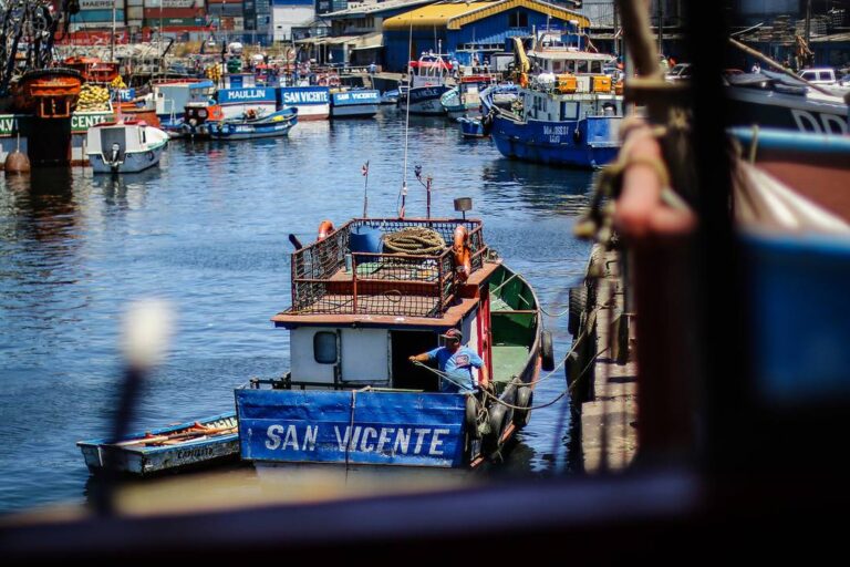 Ley de pesca en Chile: expertos advierten que recomendaciones de la industria apuntan a proteger la pesca de arrastre
