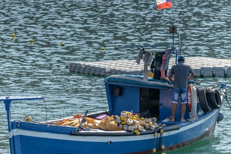 Expectativas y retos de la pesca artesanal tras la expropiación de caleta Sierra en Chile