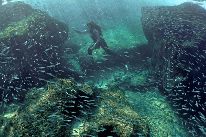 Líderes mundiales instan a la ratificación del Tratado de Alta Mar