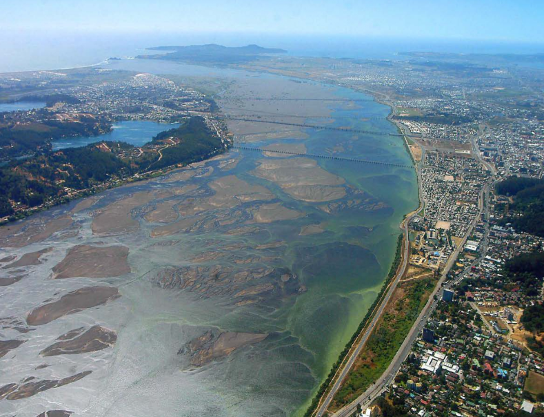 Organizaciones ambientales presentan la Declaración de Derechos del Río Biobío