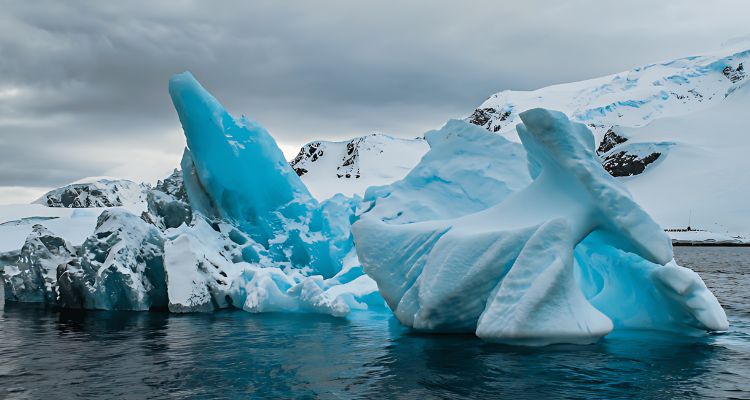 Detectan olas de calor marinas en la península Antártica