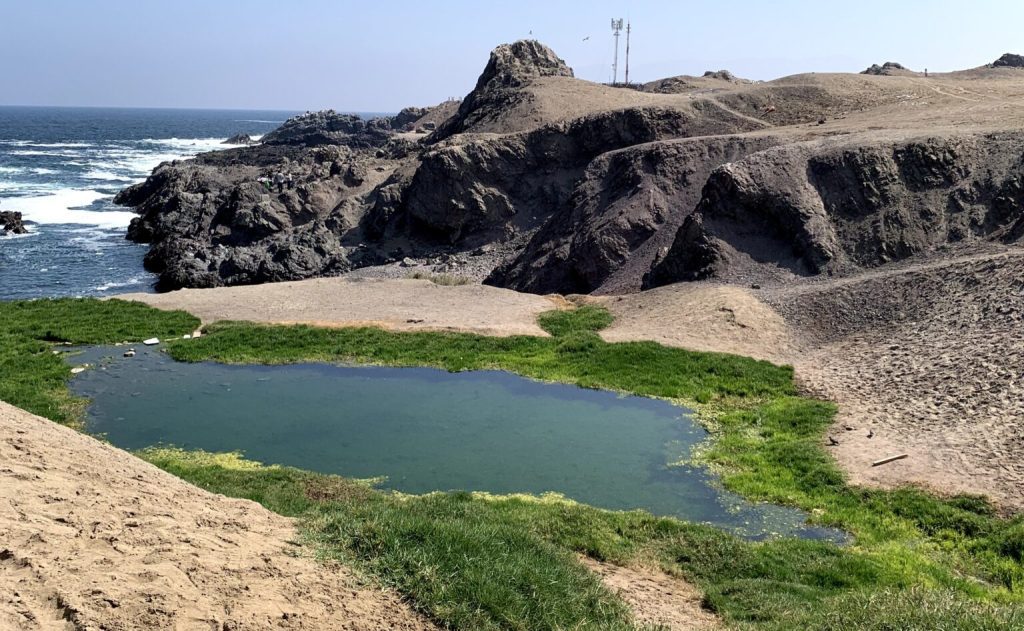 Corte de Apelaciones prohíbe instalación de fondas en el sector del humedal urbano Aguada La Chimba de Antofagasta