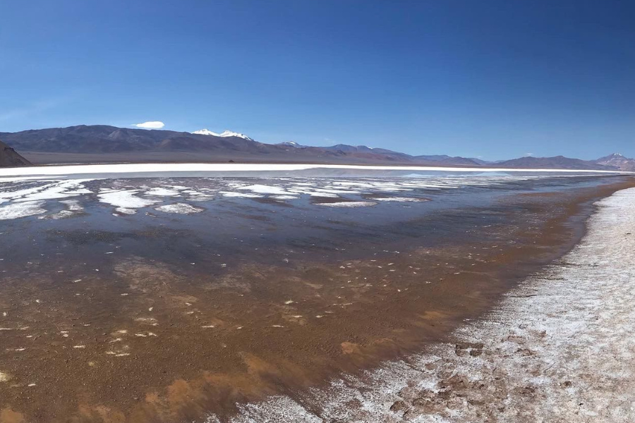 El humedal andino más austral de Chile: “Salar de Maricunga en riesgo por la Estrategia Nacional del Litio”