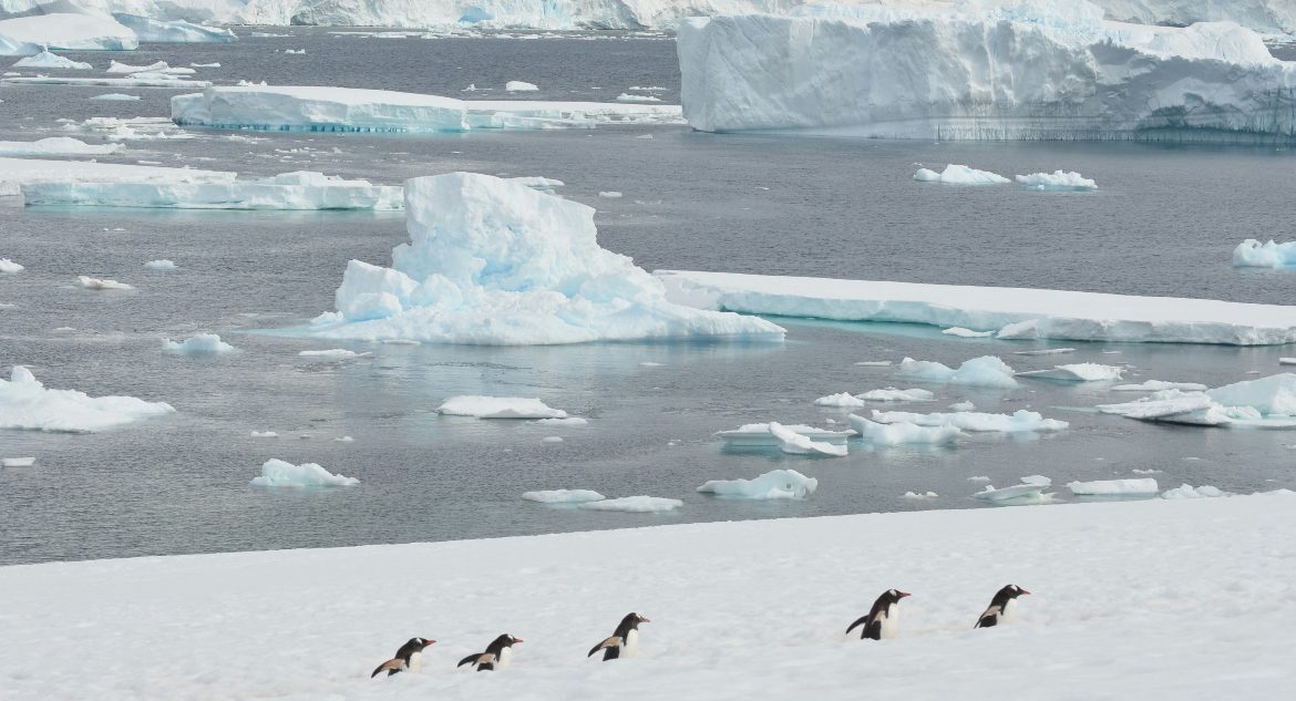 Expertos pronostican colapso casi total de la Antártica para el 2300: la primera proyección clara
