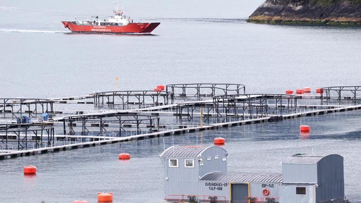 Contraloría respalda criterio de Ley SBAP al exigir plan de manejo para relocalizaciones de salmoneras