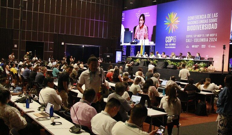 La primera semana de negociaciones de la COP16 avanzó a paso lento en el tema de financiamiento
