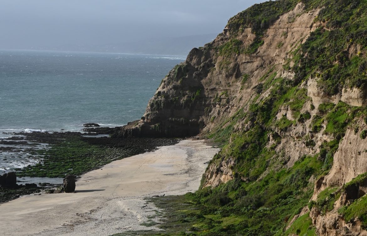 Comisión de Evaluación Ambiental votará proyecto inmobiliario de cuñado de Luksic en Puchuncaví