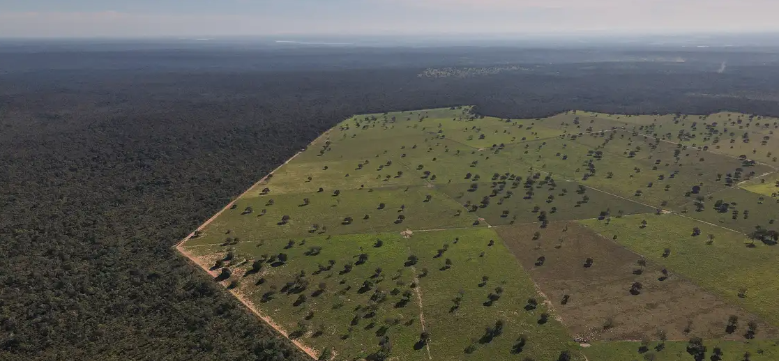 Incendios en Brasil y Europa: “Apaguémoslos juntos”