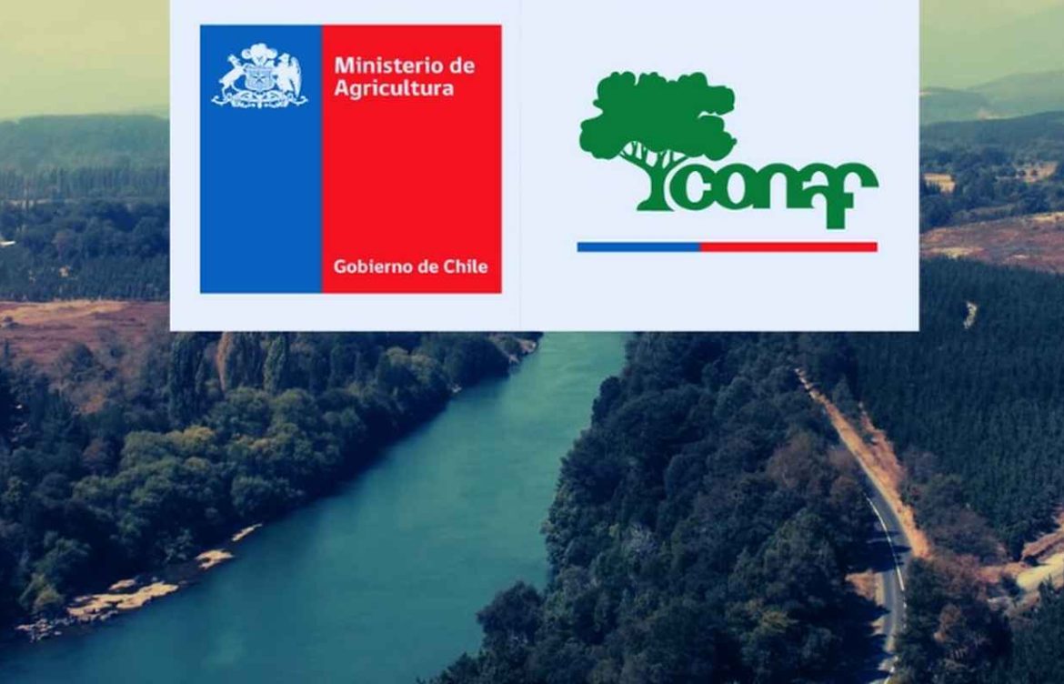 Central Rucalhue: Conaf da luz verde a faenas de cuestionado proyecto hidroeléctrico en el río Biobío