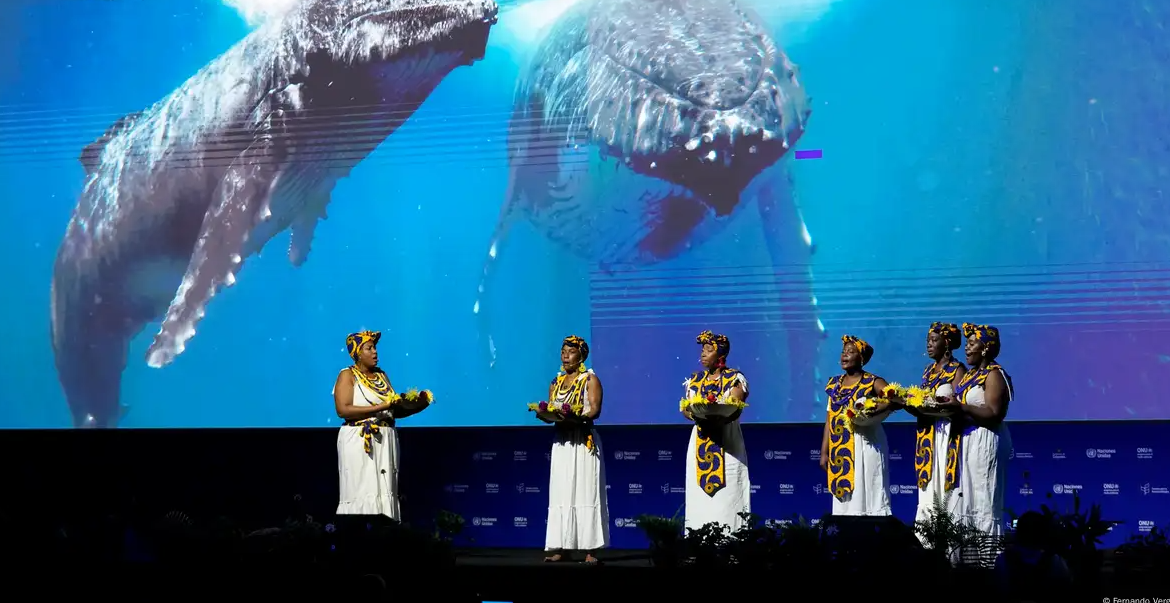 COP16 abre en Cali con llamados para salvar la biodiversidad