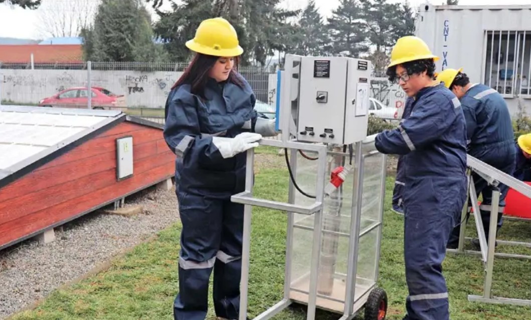 Universidades y liceos crean nuevas asignaturas para abordar la crisis medioambiental