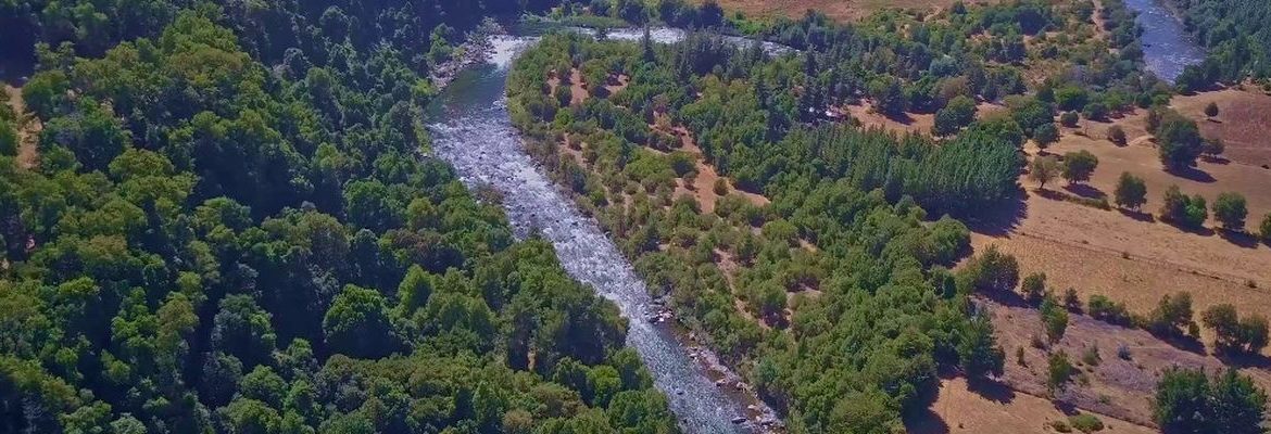 “No podemos dejar que este lugar se destruya” advierten vecinos/as ante amenaza del Embalse Zapallar en el río Diguillín