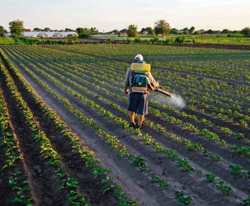 La Disminución de los insectos a causa de los “agroquímicos” amenaza la salud del planeta