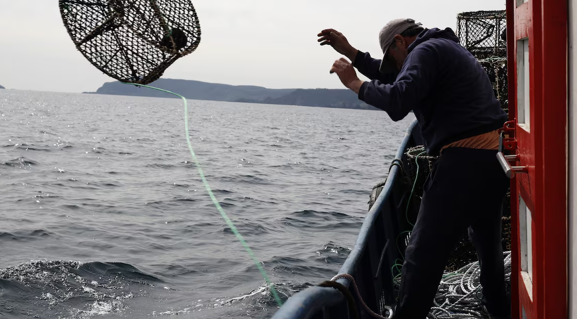 Ley de Pesca: Comisión de Hacienda aprueba fraccionamiento y se vota este miércoles en sala de la Cámara