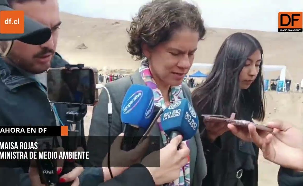 Ministra del Medio Ambiente y despido de director regional de Antofagasta: “Fue una decisión autónoma del SEA”