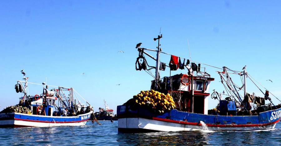 Pesca: Ejecutivo logra que proyecto de Ley de Fraccionamiento avance en el Congreso con unanimidad