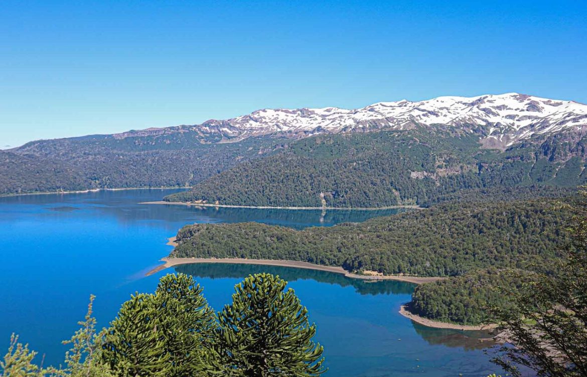 Viuda de Douglas Tompkins busca concretar el gran sueño del filántropo: Conectar los parques de Sudamérica