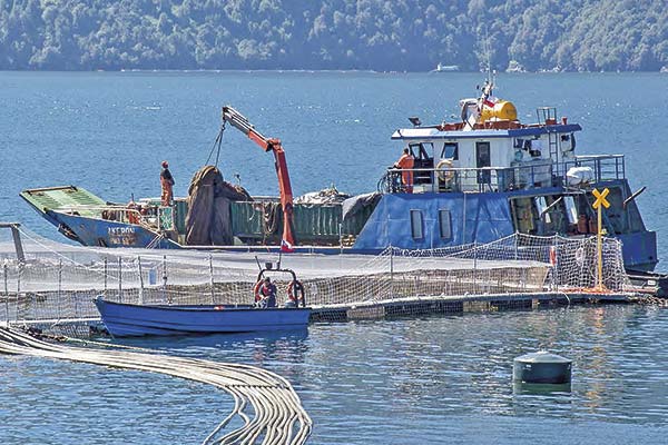 Caso Australis: Fiscalía revisará correos de Quiroga, sus hijos y una serie de exejecutivos de la salmonera